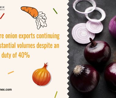 onion exports