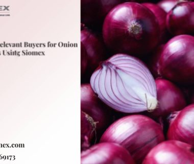 Relevant Buyers for Onion Exports Using Siomex