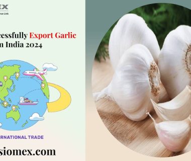 Successfully Export garlic from India