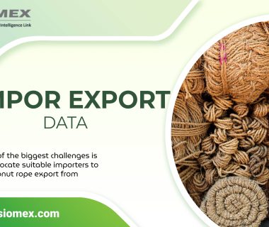 Coconut Rope Export